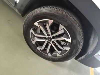 Haval Big Dog