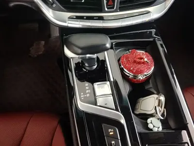 Geely Borui