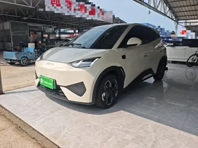 BYD Seagull