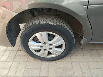 Forthing Lingzhi