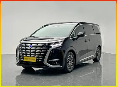 Denza Denza D9