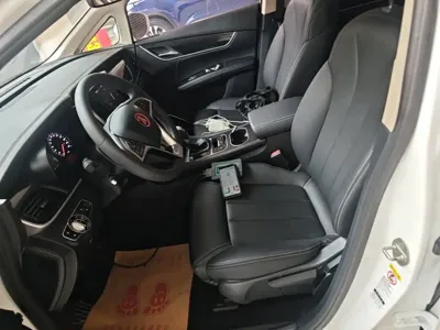 BYD MAX