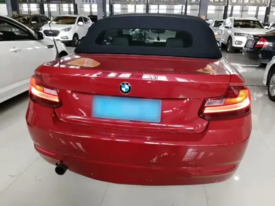 BMW 2 Series (Import)