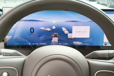 IM LS6