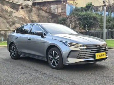 BYD Destroyer 05