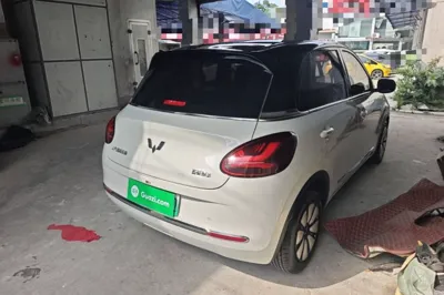 Wuling Bingo