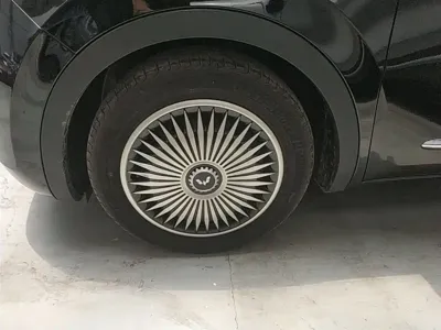 Wuling Bingo