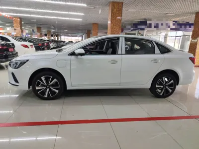 Feifan ER6