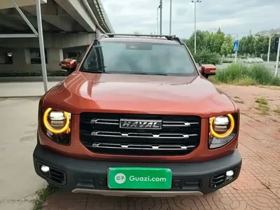 Haval Big Dog