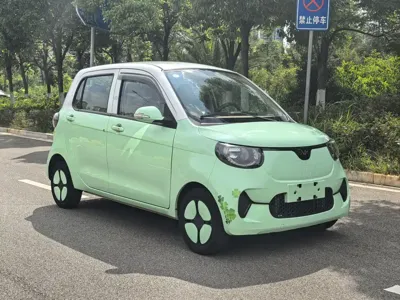 FERRAL EV