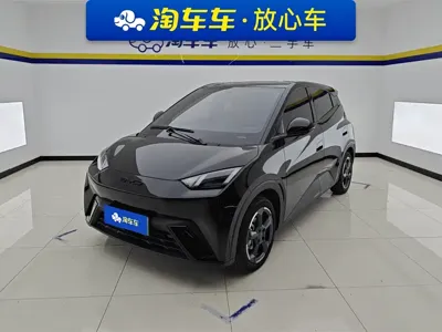 BYD Seagull