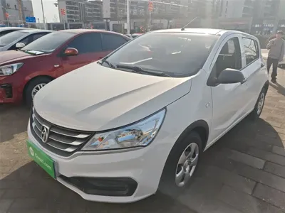 Baojun 310