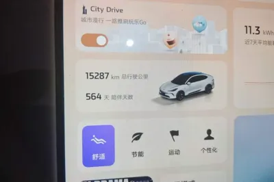 IM LS6