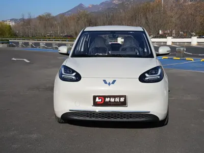 Wuling Bingo