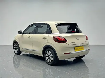 Wuling Bingo