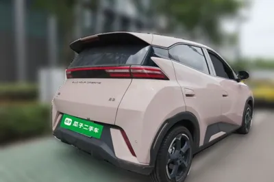 BYD Seagull