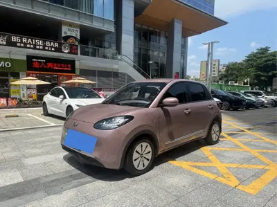 Wuling Bingo