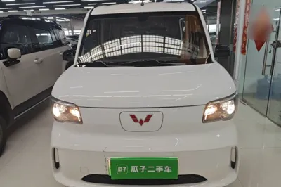 Wuling Zhiguang New Energy