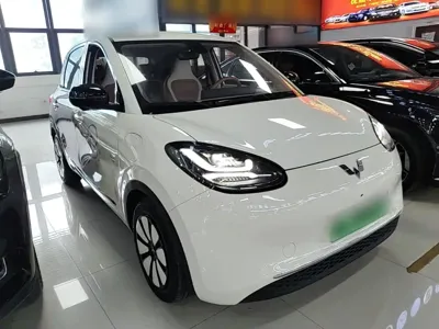 Wuling Bingo