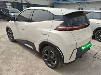 BYD Seagull