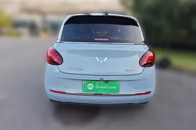 Wuling Bingo