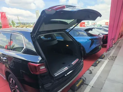 Hongqi HS7