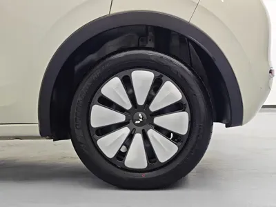 Wuling Bingo