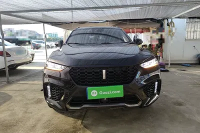 WEY VV7