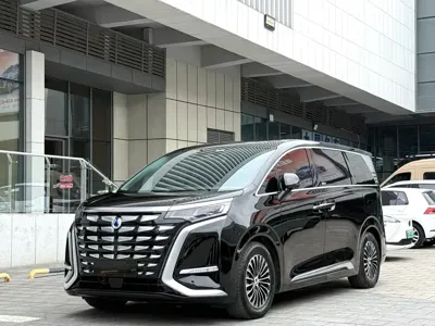 Denza Denza D9
