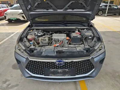 BYD e2
