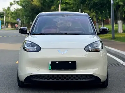 Wuling Bingo