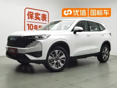 Haval H6 New Energy