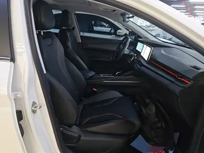 Geely Binrui