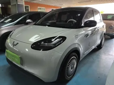 Wuling Bingo