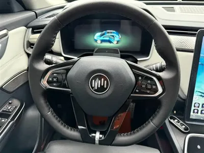 WM Motor EX5