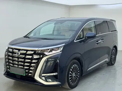 Denza Denza D9