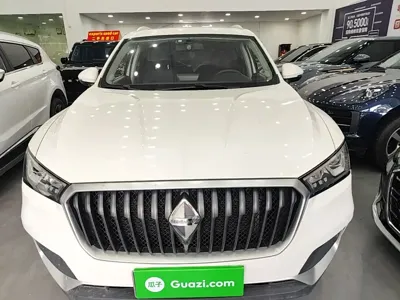 Borgward BX5