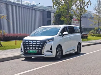 Denza Denza D9