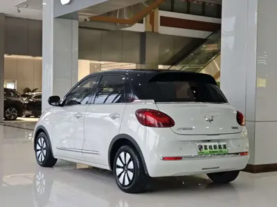 Wuling Bingo