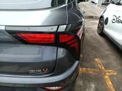 NETA Neta V