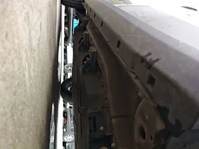 NETA Neta V