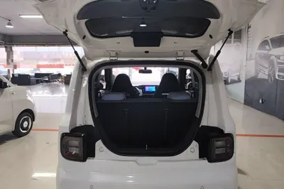 Geely Galaxy Panda