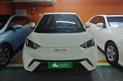 BYD Seagull