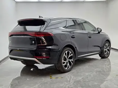 BYD Tang New Energy