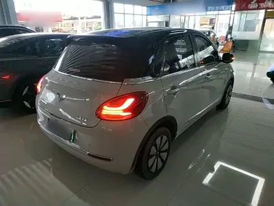 Wuling Bingo