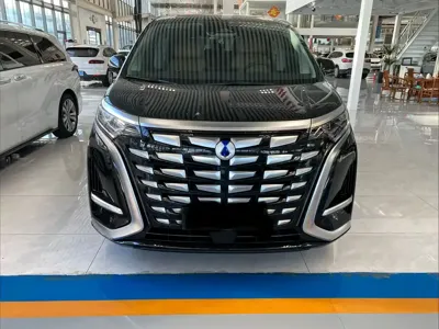 Denza Denza D9