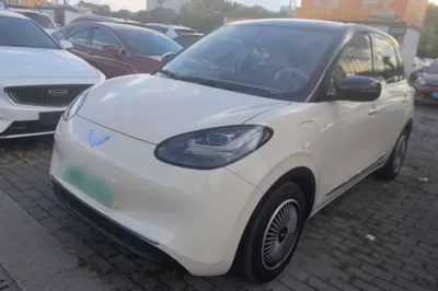 Wuling Bingo