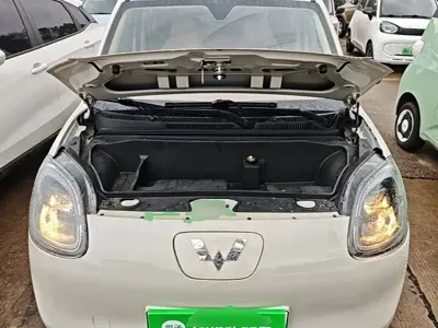 Wuling MINIEV
