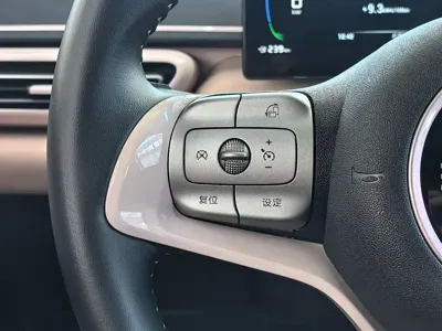 BYD Seagull