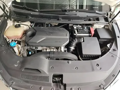 BYD MAX